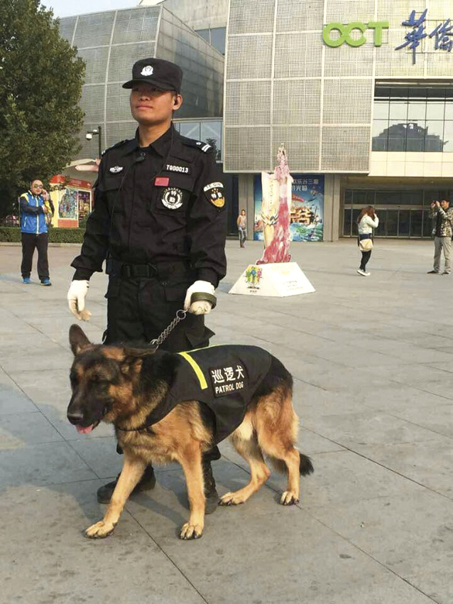 犬防服务(图2)